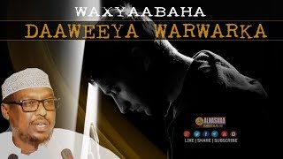 WAXYAABAHA DAAWEEYA WARWARKA amp WALBAHAARKA Depressionka ᴴᴰ┇ Sh Mustafe Xaaji Ismaaciil [upl. by Wojak60]