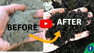 5 TIPS FOR BUILDING PERFECT HEALTHY SOIL FOR FREE [upl. by Eimmac]