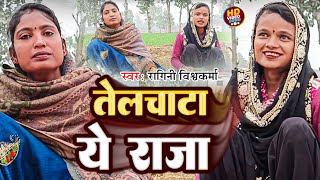 Video  तेलचाटा ये राजा  RaginiVishwakarma Telchata Ye Raja  New Jhareliya Song 2024 [upl. by Greysun]