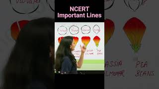 Examples Of Aestivation  Revision Biology NEET  NCERT important lines for NEET  neet2025biology [upl. by Brok]