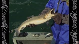 Lake Billy Chinooks Bull Trout Part I [upl. by Elrod]