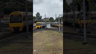 IMU 120 crossover at Roma Street [upl. by Godber]