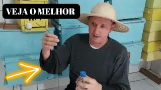 QUAL O MELHOR ALIMENTADOR PARA ABELHAS APIS [upl. by Alis]