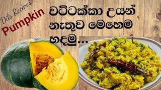 වට්ටක්කා මැල්ලුම  Pumpkin Mallow by Dils Recipes Wattakka Mallum [upl. by Asli]