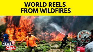 Greece Wildfires 2023 News  Wildfires Burn Through Coastal Towns Near Athens Greece  News18 [upl. by Agn]