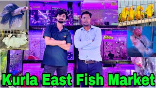 Kurla East Fish Market Tour  Biggest Fish Market In Mumbai [upl. by Rola142]