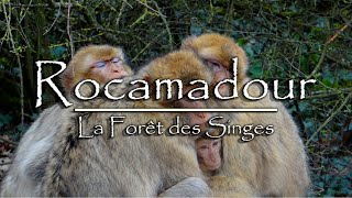 Rocamadour y La Forêt des Singes en HD [upl. by Assenaj]