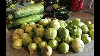 Other Uses for Tomatillos [upl. by Nowad]