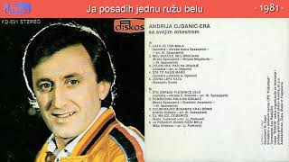 Andrija Ojdanic Era  Ja posadih jednu ruzu belu  Audio 1981 [upl. by Liatnahs149]