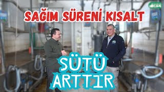 Doğru sağım sağımhane de nelere dikkat etmeliyiz [upl. by Amirak36]