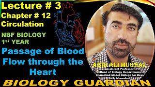 Passage of blood flow through heart  Pulmonary amp Systemic Circulation Lecture 3 Ch 12 NBF Bio11 [upl. by Anatnom]