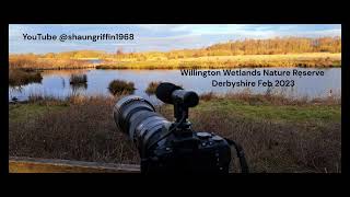 Willington Wetlands Nature Reserve  February 2023 [upl. by Darryl]