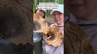 Massive edible mushrooms [upl. by Eimac75]