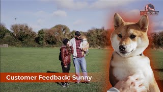 Socialising Your Dog at a Training Center is More Effective Than at Home  Sunnys Transformation [upl. by Adnoyek]