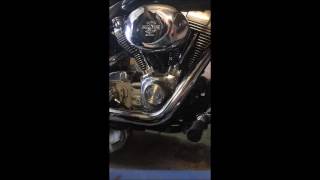 Harley davidson dyna twin cam 88 oil change [upl. by Naols158]