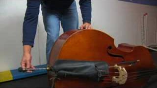 Upright Bass for Beginners  Holding an Upright Bass [upl. by Aracat364]