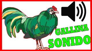 SONIDO de GALLINA 🐔 efecto de sonido INCREÍBLE ❤️ [upl. by Euk468]