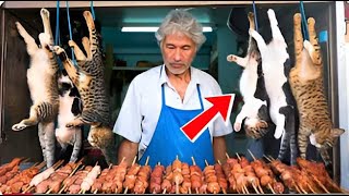 ¿BROCHETA DE GATO ANCIANO VENDE CARNE DE GATO Y SORPRENDE A TODOS AL DESCUBRIRSE LA VERDAD [upl. by Abibah]