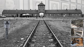 Uncensored The Worst Concentration Camp in 2024  Auschwitz–Birkenau 🇵🇱 [upl. by Suirauqram]