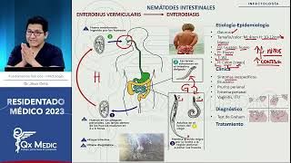 PARASITOLOGIA NEMÁTODES [upl. by Sharl]