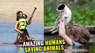 Heartwarming Rescues Amazing Humans Saving Animals  You Won’t Believe [upl. by Darbie876]