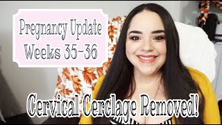 Pregnancy Update  3536 Weeks  Cervical Cerclage Removal [upl. by Giliana]