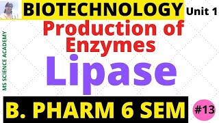 LipaseProduction of EnzymesBiotechnologyUnit 1 B Pharmacy 6 SemLect13 [upl. by Aitselec]