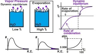 Chemistry  Liquids and Solids 46 of 59 Phase Change Liquid Vapor Equilibrium Basics [upl. by Aissak]