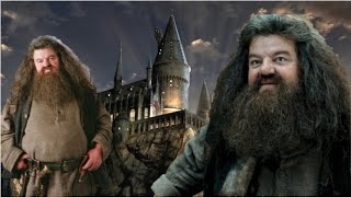 What If Hagrid Went Back To Hogwarts As A Student [upl. by Trisa]