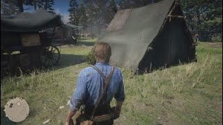 Red Dead Redemption 2 Susan Oregano Location for Errand Boy Trophy  Achievement [upl. by Ataynek526]