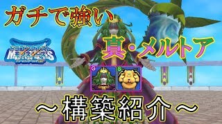 【テリワンSP】物理型メルトア！ジゴフラッシュを対策！【構築紹介】 [upl. by Eibocaj731]