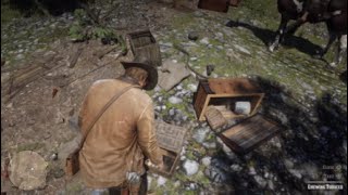 Red Dead Redemption 2 Herbalist 3 Early [upl. by Ariane]