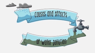 Causes and effects of water pollution  Sustainability  ACCIONA [upl. by Eelegna]