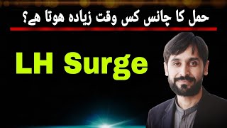 LH Surge  LH Surge when to Conceive  MLT Hub with kamran [upl. by Ecnaled]