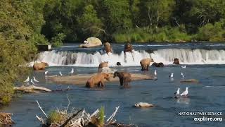 Little bear 306 collides with 747 then chased by 32 RF Brooks Katmai 20 July 2024 exploreorg [upl. by Latsryc]