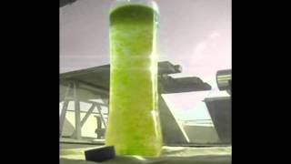 Algae Culturing Nannocloropsis Oculata [upl. by Nylodnarb351]