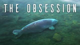 THE OBSESSION  Full Carp Fishing Movie [upl. by Jago]