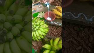 Miniature Cooking Banana 🍌 Rasayana  shorts  YouTube Shorts [upl. by Sansen]