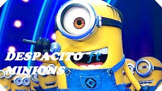 DESPACITO ft Minions  Video Song With Lyrics  DESPICABLE ME 3 [upl. by Cirilla]