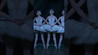 Swan Lake 2018  Dance of the Cygnets shorts RoyalOperaHouse [upl. by Barbra]