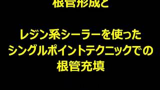 クリスタル・ブライトニング 北村歯科 根管治療実習 根管形成 根管充填 [upl. by Vaughn]