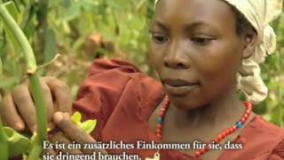 Uganda Ein Tropfen Vanille für DKNY [upl. by Nairadal329]