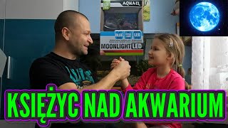 AQUAEL MOONLIGHT LED  NOCNE OŚWIETLENIE KSIĘŻYCOWE [upl. by Anelis]