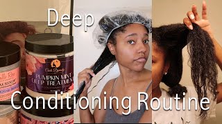 My Deep Conditioning Routine for HIGH Porosity Hair [upl. by Gavan]