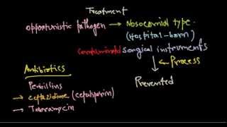 Pseudomonas aeruginosa treatment [upl. by Wetzell126]