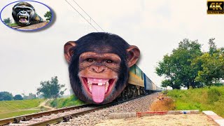 Dangerous Chimpanzee Headed Intercity EMU Express Furious Moving Throughout TrainSkyline official [upl. by Placido]