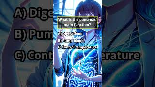 The Power of the Pancreas trivia learn physiology anatomy pancreas function insulin funfacts [upl. by Yelsnya]