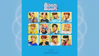 Bloom Bloom  The Boyz Official Instrumental [upl. by Ileane]