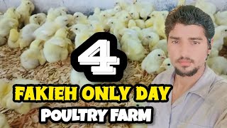 POULTRY FARM 😭 FAKIEH ONLY DAY 4 ll HUSNAIN BHAI FAKIEH VLOG 😱 [upl. by Mutz263]