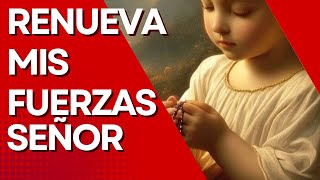 Oración de la mañana Renueva mis fuerzas señor [upl. by Blessington]